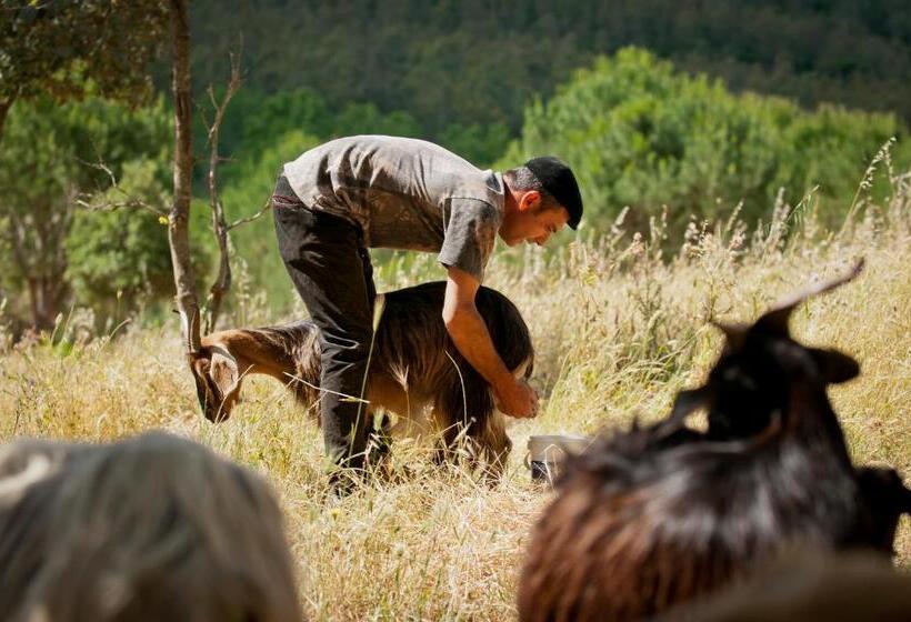 בית מלון כפרי I Menhirs