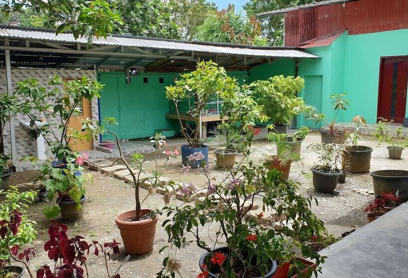 בית מלון כפרי Mega Nasional Seaview