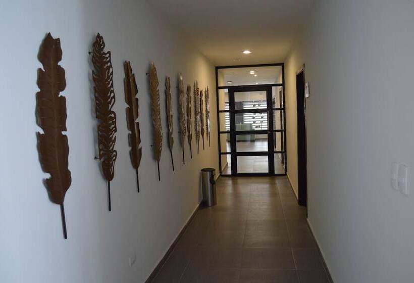 Отель Plaza Catedral