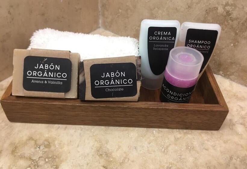 Отель Plaza Catedral