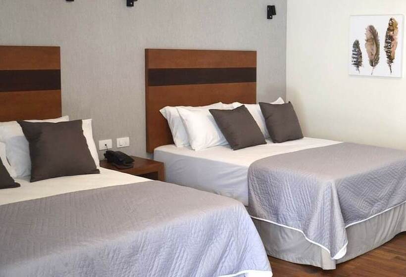 Отель Plaza Catedral