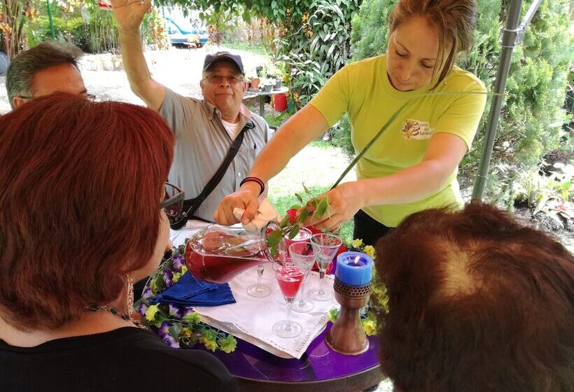 فندق Posada Las Bromelias