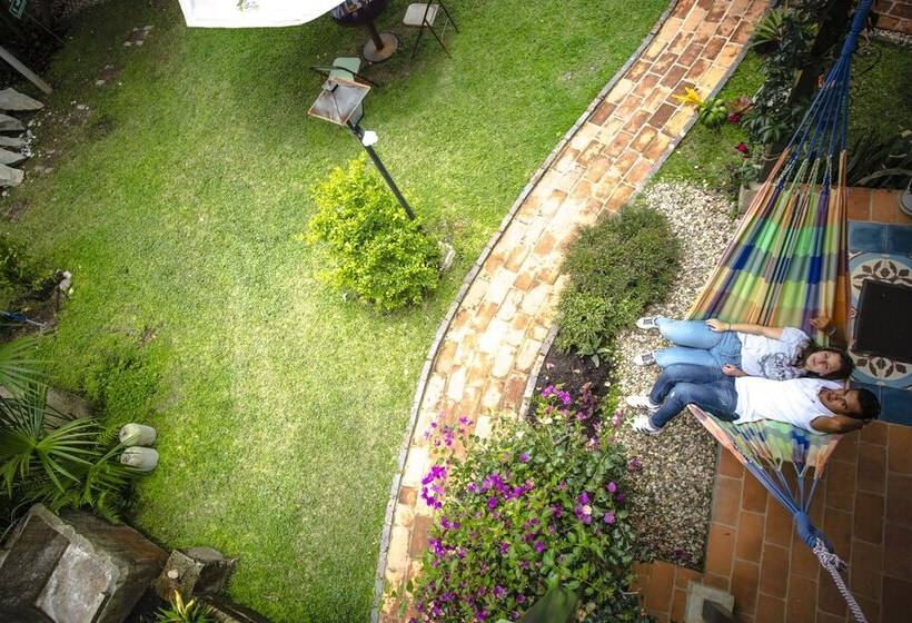 فندق Posada Las Bromelias