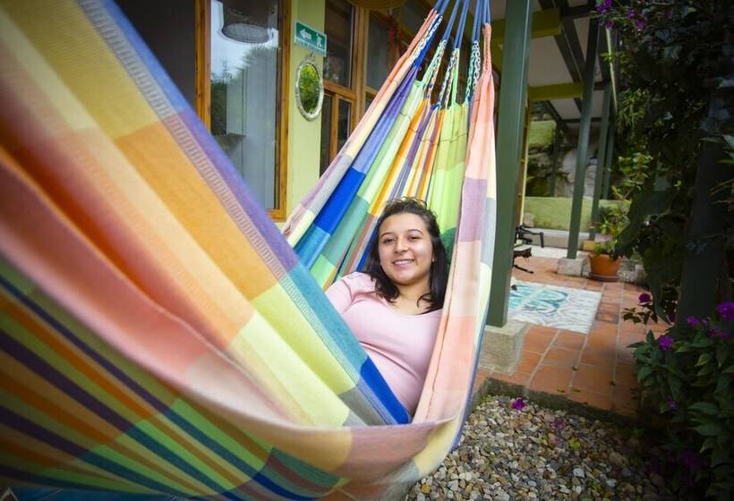 فندق Posada Las Bromelias