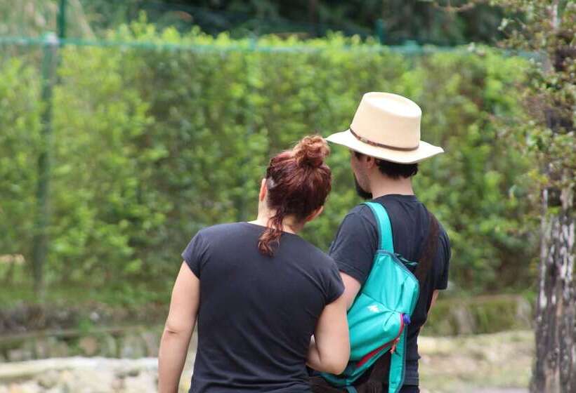 فندق Posada Las Bromelias