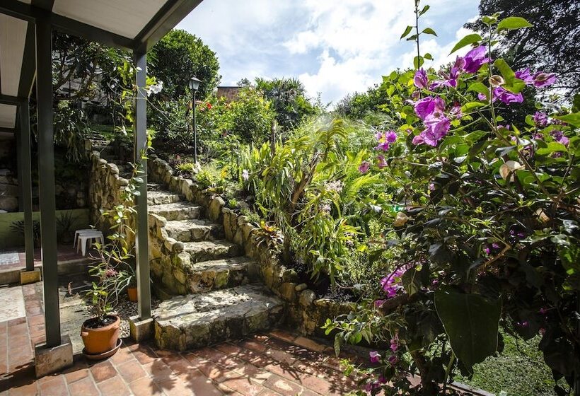 فندق Posada Las Bromelias