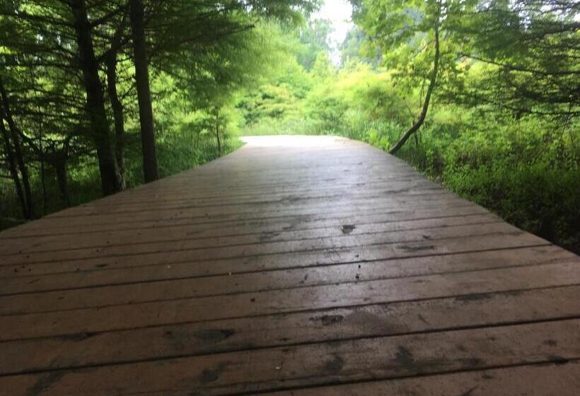 پانسیون Guest House Guram