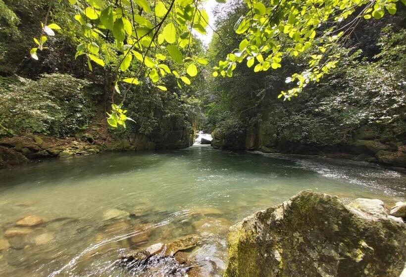 پانسیون Mtirala House