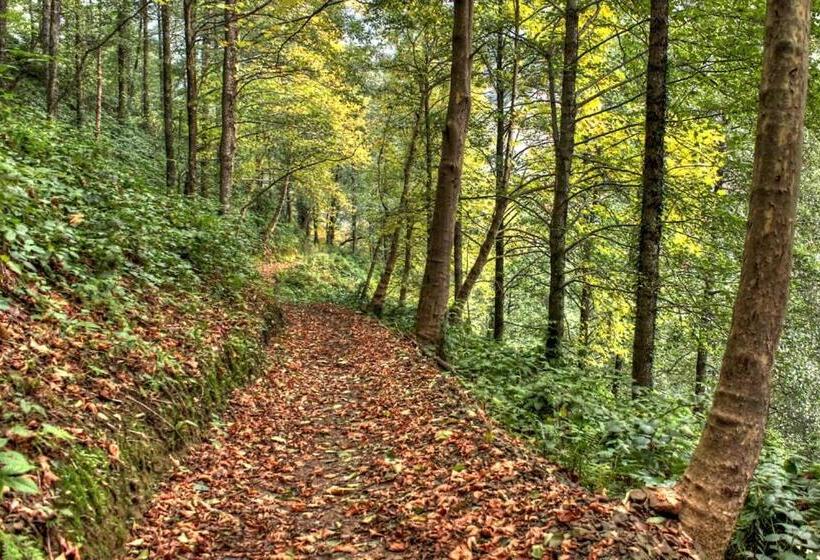 پانسیون Mtirala House