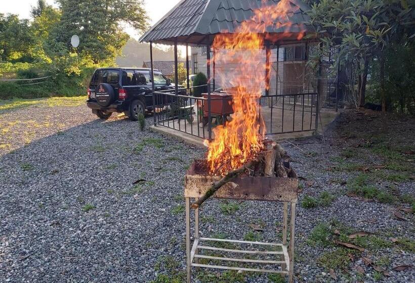 پانسیون Mtirala House