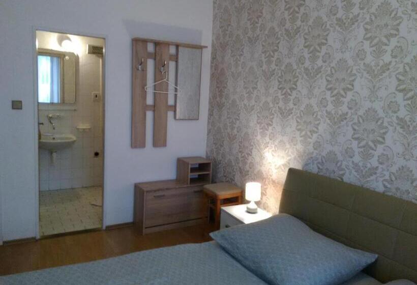 Пансион Penzion Vis A Vis