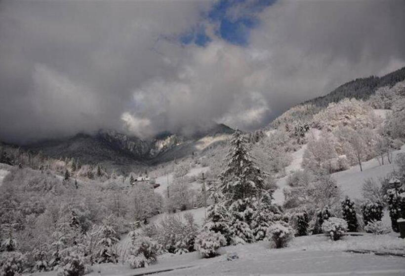 Pensiunea Aurora Izvorul Muntelui