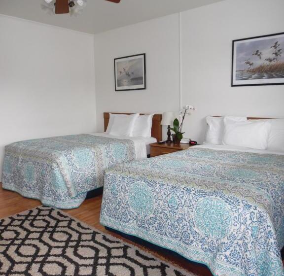 Wachapreague Inn   Motel Rooms