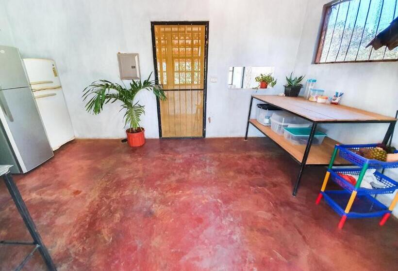 호스텔 Casa Ital Tico, Playa Negra