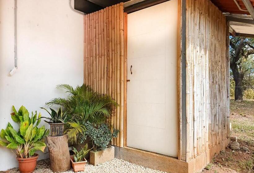 호스텔 Casa Ital Tico, Playa Negra