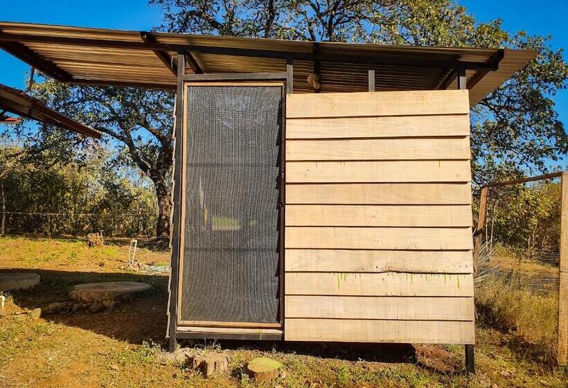 호스텔 Casa Ital Tico, Playa Negra