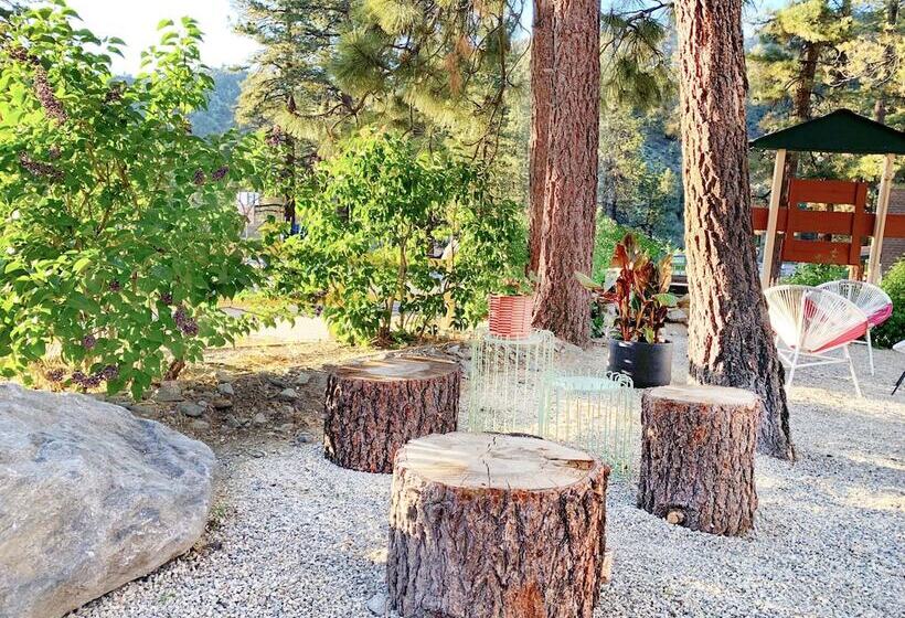 호스텔 Grand Pine Cabins