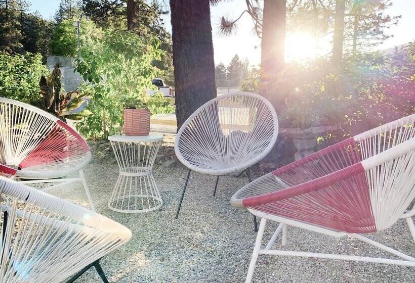 호스텔 Grand Pine Cabins