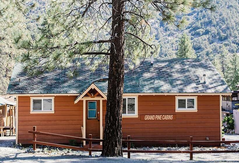 호스텔 Grand Pine Cabins