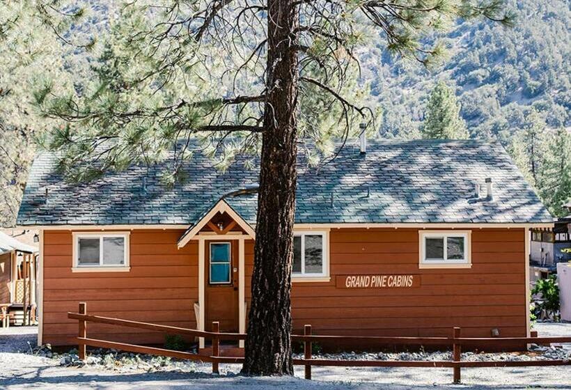 호스텔 Grand Pine Cabins