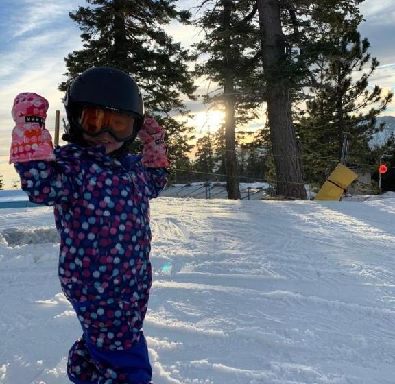 호스텔 Grand Pine Cabins