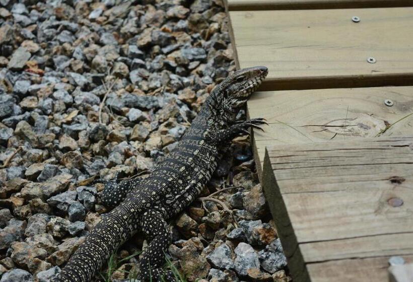 هاستل Posada Biarritz