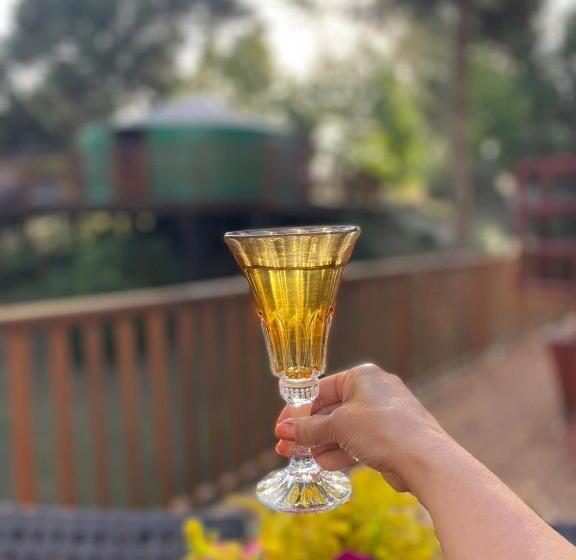 ユースホステル Solar Do Oriente   Yurt Ecovillage