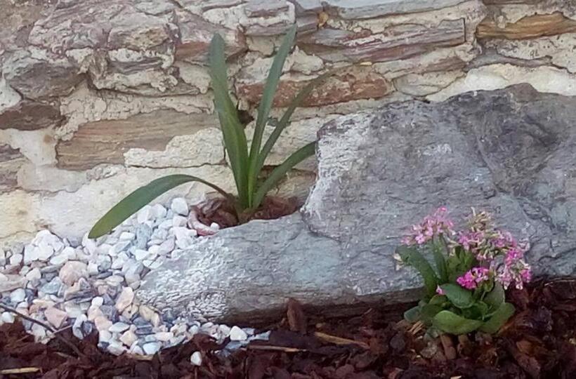 مبيت وإفطار Casa Esquível