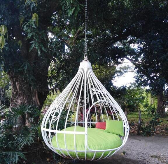 مبيت وإفطار Villa Sueño Potrero