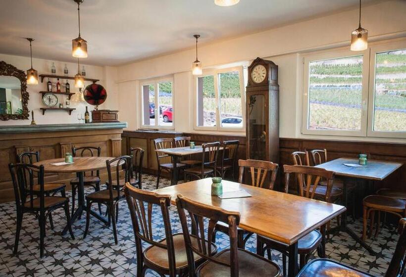 Отель Auberge De Rivaz