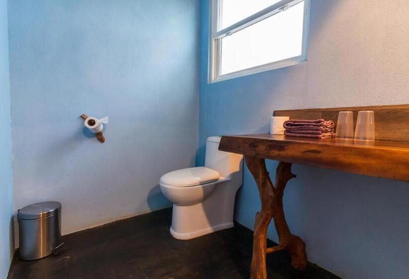 ホテル Latica Lodge