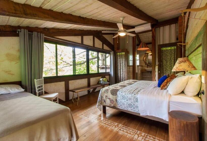 ホテル Latica Lodge