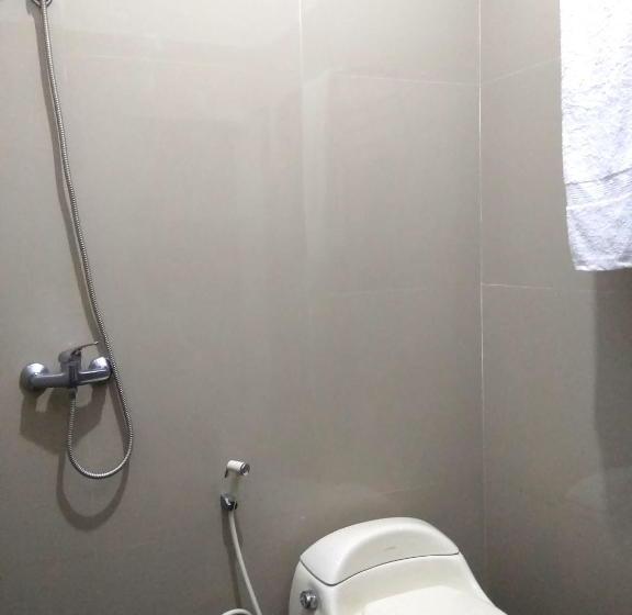 בית מלון כפרי Phoenix