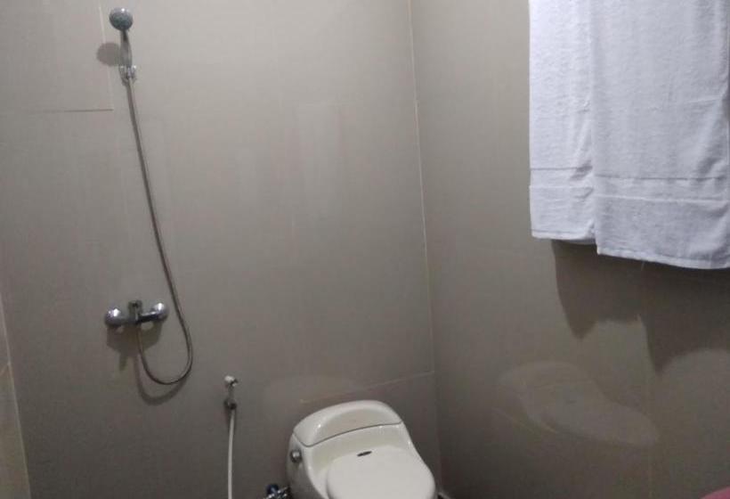 בית מלון כפרי Phoenix