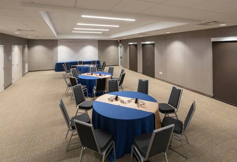 בית מלון כפרי Springhill Suites By Marriott Tampa Suncoast Parkway