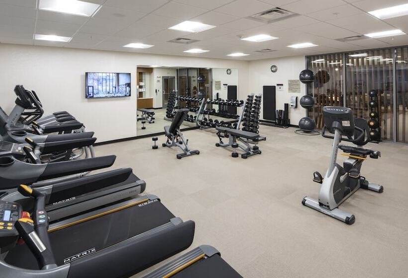 فندق Springhill Suites By Marriott Tampa Suncoast Parkway