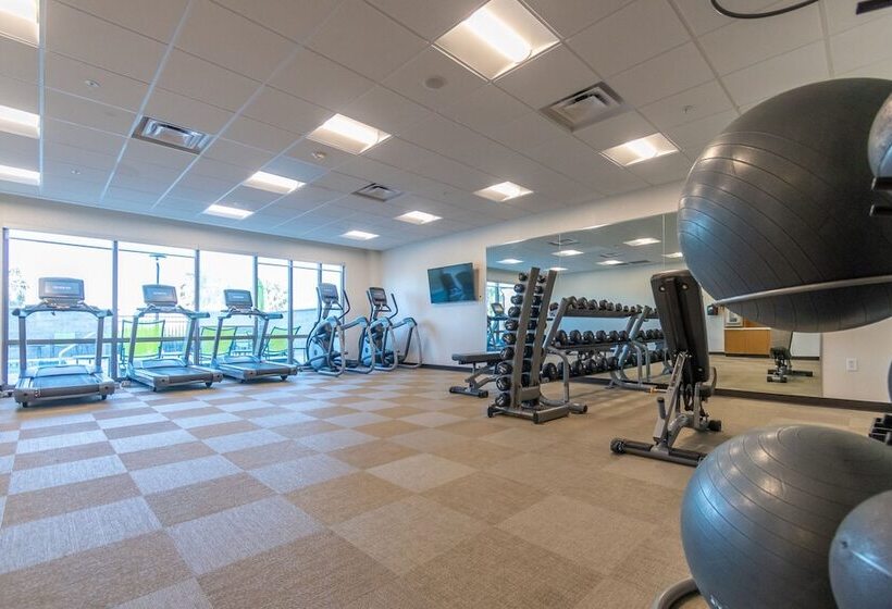 فندق Springhill Suites By Marriott Tampa Suncoast Parkway