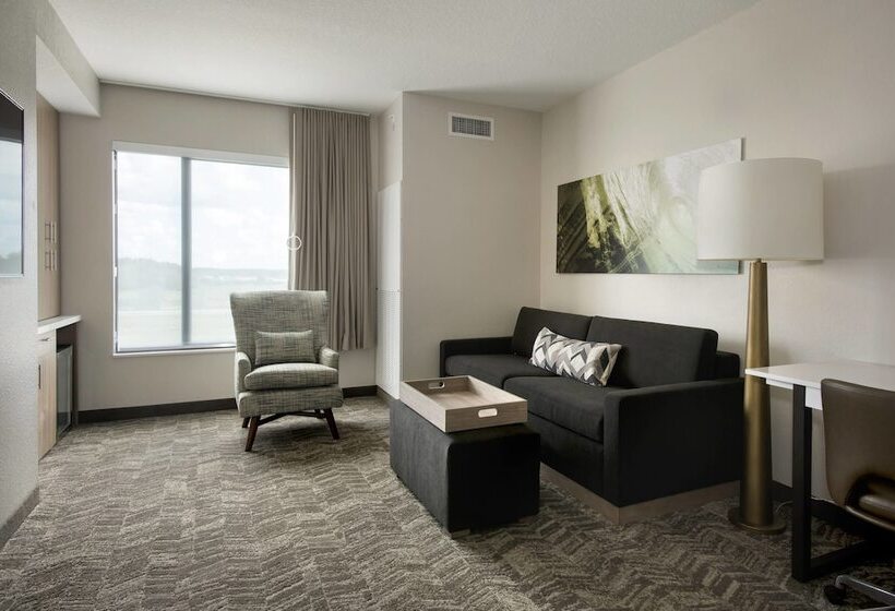 فندق Springhill Suites By Marriott Tampa Suncoast Parkway