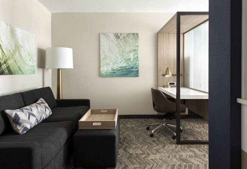 فندق Springhill Suites By Marriott Tampa Suncoast Parkway