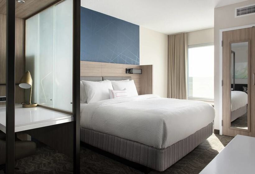 בית מלון כפרי Springhill Suites By Marriott Tampa Suncoast Parkway