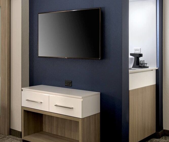 فندق Springhill Suites By Marriott Tampa Suncoast Parkway