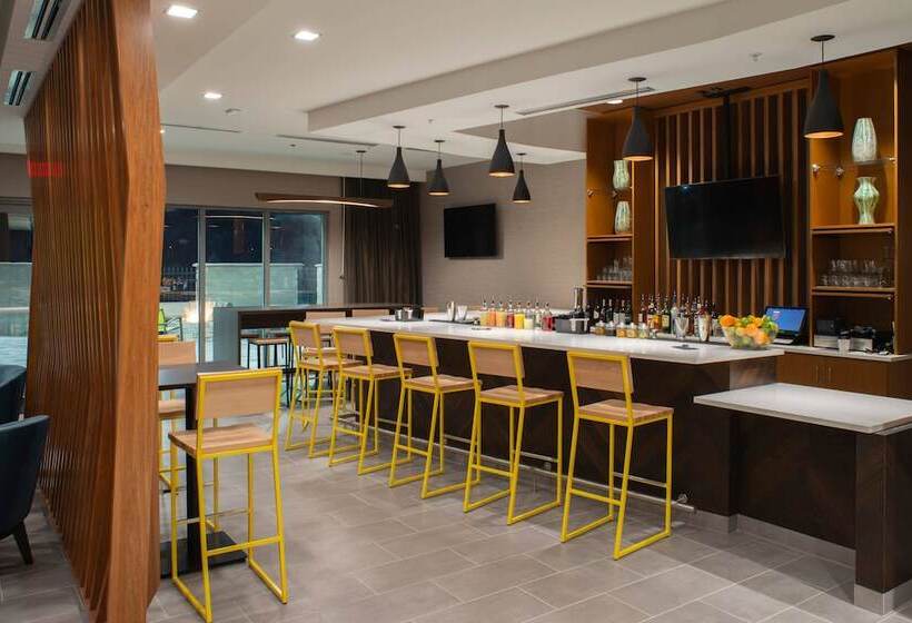 فندق Springhill Suites By Marriott Tampa Suncoast Parkway