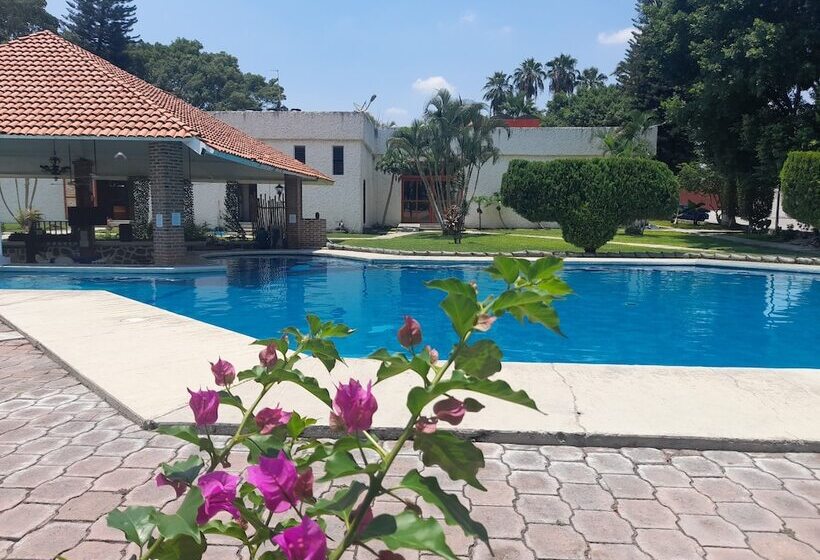 ホテル Teques Palace