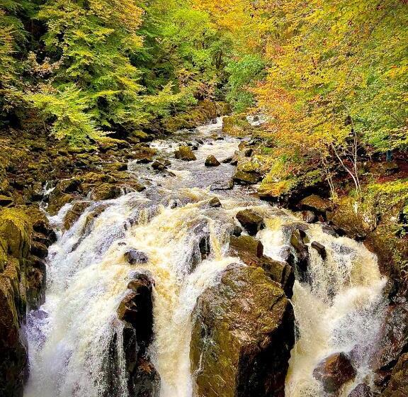 ホテル The Crees Room Only No Bar Or Restaurant