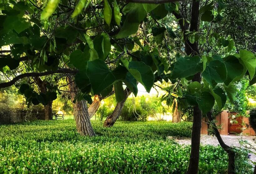 Morning Star Bed & Breakfast Of Corrales