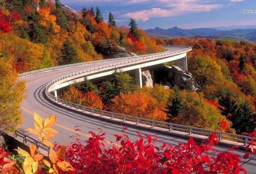 فندق على الطريق Carolina Country Inn