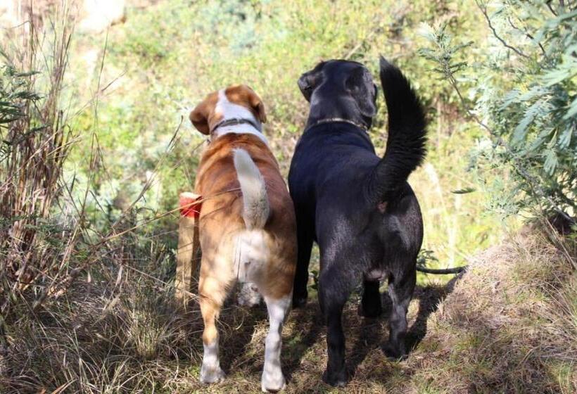 פנסיון Abadia De Tomine