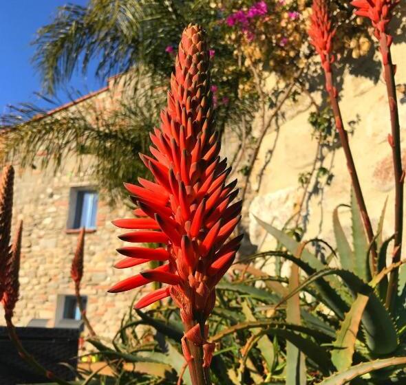 פנסיון Casa Ilicia