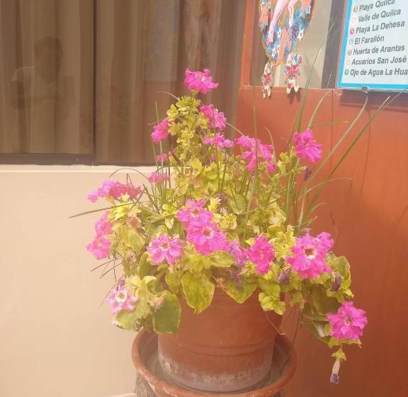 پانسیون Hospedaje Golden Inn