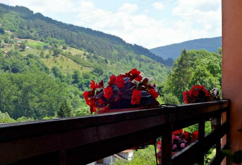 پانسیون Virmal